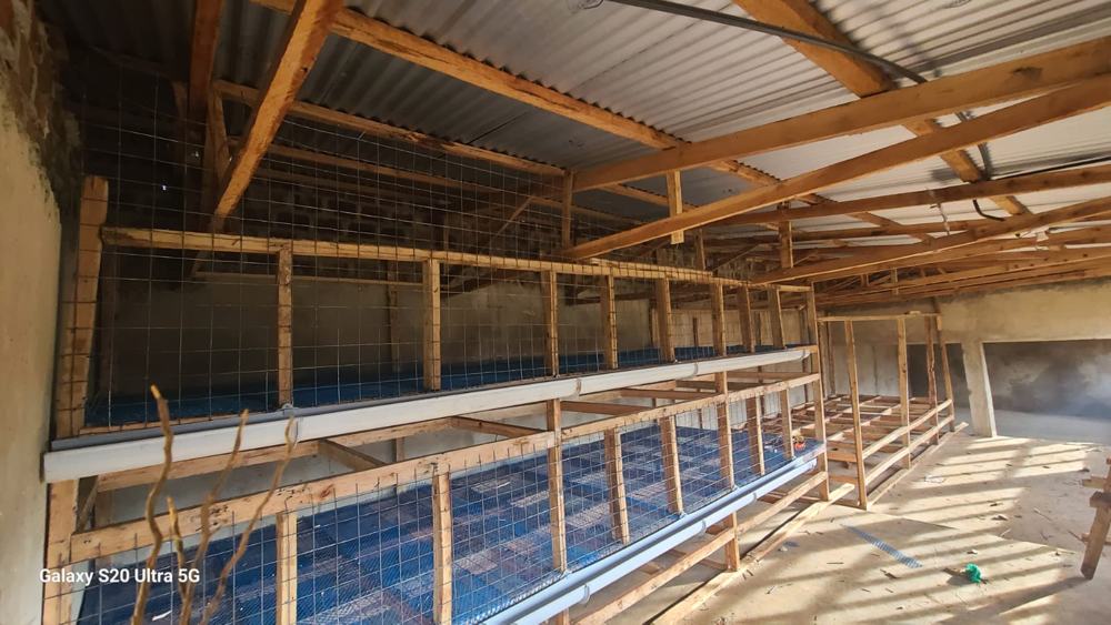 Multi-tier poultry housing with gutter feeders