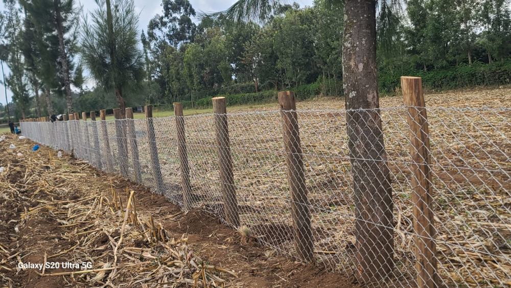 Chain-link fencing on treated posts