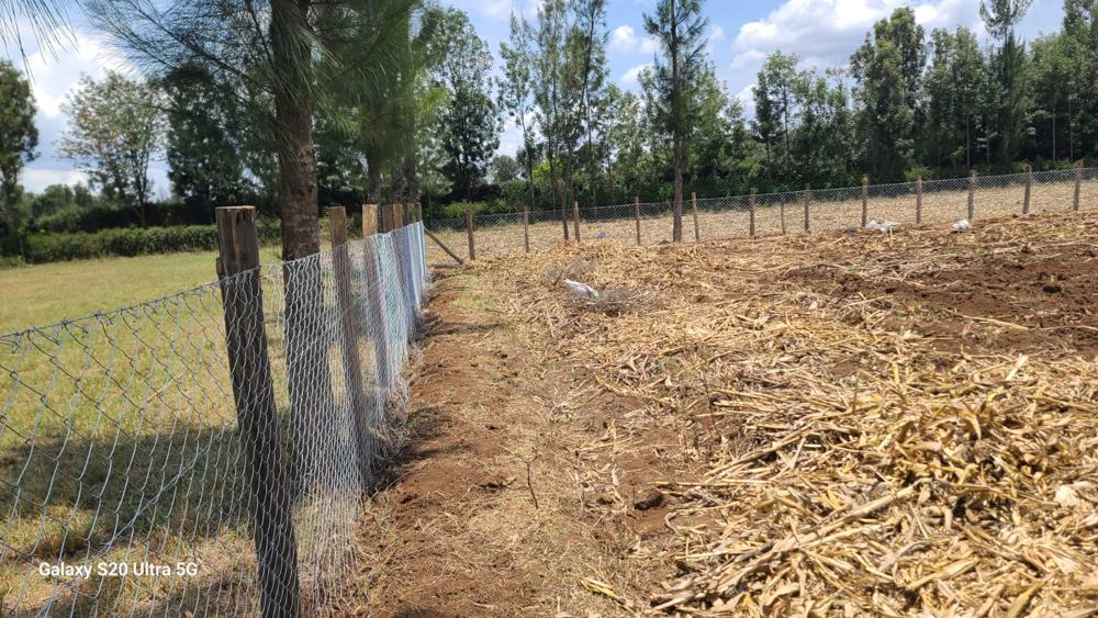 Perimeter chain-link fence along farmland