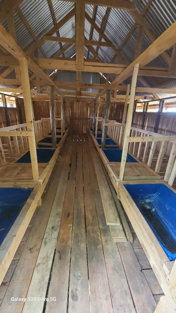Livestock house timber structure with iron-sheet roof